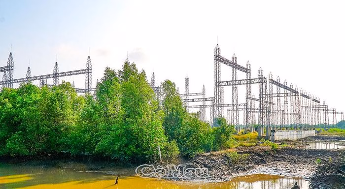 Dự án góp phần hoàn thiện kết lưới 110 kV, tạo nền tảng cho sự ổn định năng lượng tại khu vực.