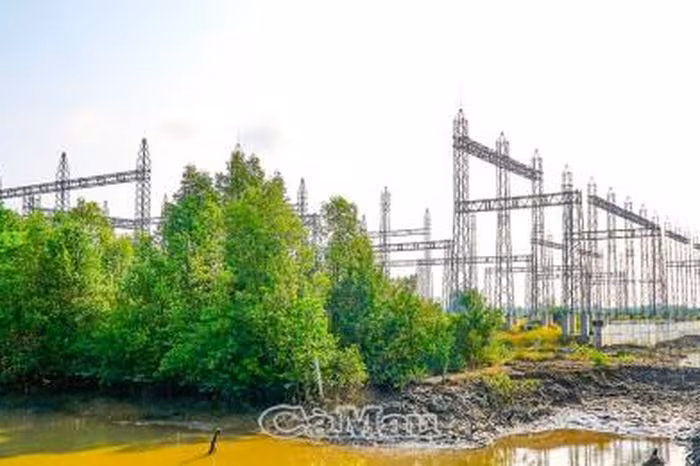 Nâng cấp lưới điện 110 kV Năm Căn: Đòn bẩy cho kinh tế biển Cà Mau