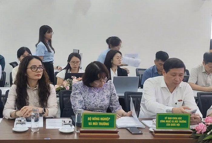 Các nhà quản lý và chuyên gia cùng thảo luận về khung chính sách cho đô thị xanh.