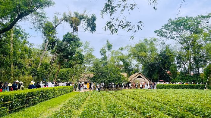 Lượng khách đổ về Khu Di tích Kim Liên tăng mạnh, tạo áp lực nhưng cũng mang lại nguồn thu lớn cho du lịch địa phương.