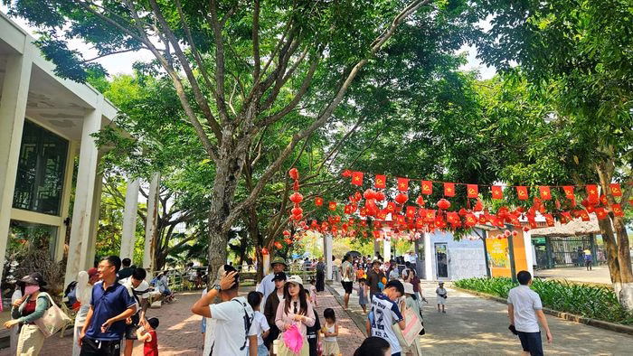Khu sinh thái Mường Thanh Safari Diễn Lâm thu hút đông đảo khách du lịch nhờ mô hình trải nghiệm thiên nhiên độc đáo.
